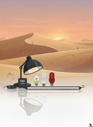 Oświetlenie terrarium