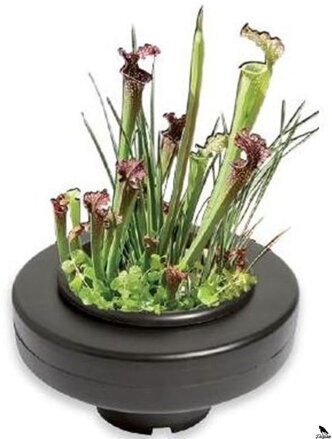 SuperFish POND  Plávajúci kvetináč 30cm