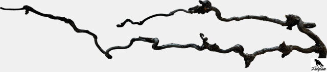 REPTO BEARD WOOD 60-80 CM