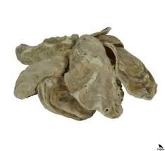 Japonske ostrige lupine 2m3 = 1000kg