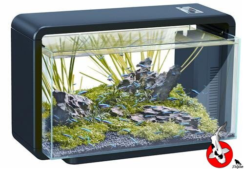 SF HOME 30 AQUARIUM čierne