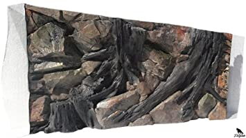 3D Koreň ako pozadie 100x60cm