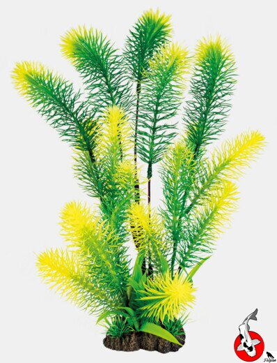 ART RASTLINA 40CM MYRIPHYLLUM