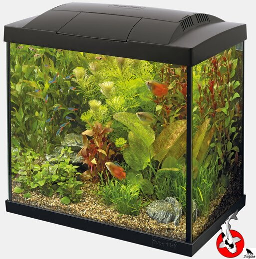 SUPERFISH START 30 TROPICAL SÚPRAVA ČIERNA