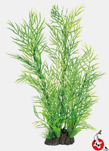 ART RASTLINA 40CM CERATOPTERIS