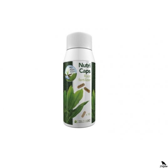 COLOMBO FLORA NUTRI CAPS 10X